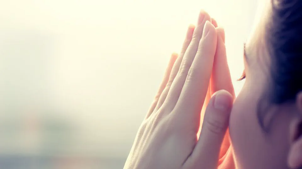 비문증 때문에 답답하셨죠? 근본 원리를 알면 의외로 쉬운 개선법이 보여요.