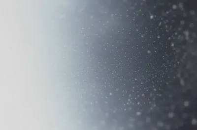 비문증: 오해와 진실