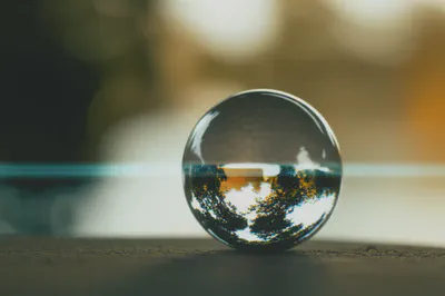 셀레늄에 대한 오해를 벗겨내고 진실을 마주하는 시간