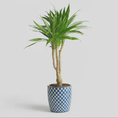 꾸준한 요가 수련으로 얻는 균형 잡힌 삶