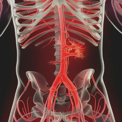 혈액 순환 개선을 상징하는 혈관 네트워크 이미지
