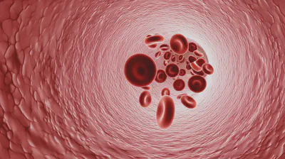 건강한 혈관과 원활한 혈액 순환을 나타내는 현미경 이미지