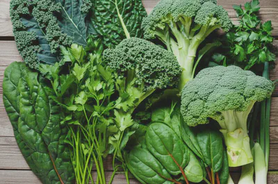 클로로필 a가 풍부한 자연의 선물