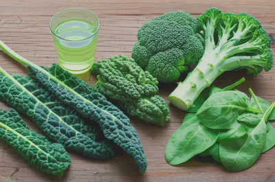 자연에서 얻는 클로로필의 풍부함