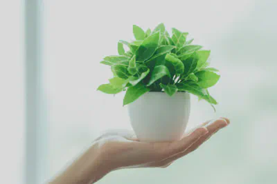 자연의 생명력과 함께하는 건강한 삶