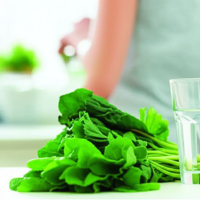 클로로필 효능 시작 전 반드시 확인해야 할 3가지 (모르면 손해봐요)