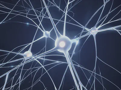 편집증의 생물학적 원인: 뇌 신경전달물질 불균형