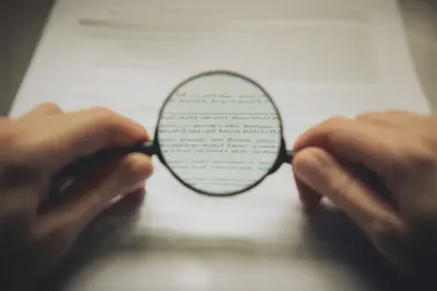 클로로필린 정보 분석의 중요성