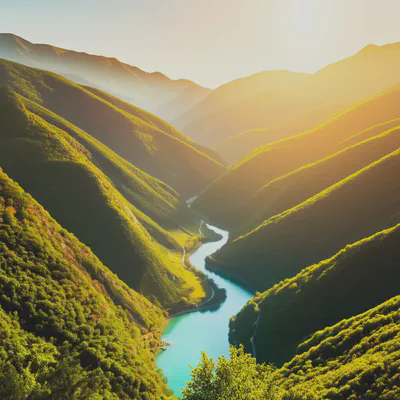 클로로필과 함께하는 지속 가능한 건강 관리