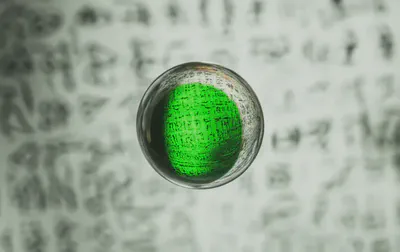 클로로필 효능에 대한 오해와 진실을 명확히 구분하는 시각화