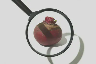 한 가지 음식에만 집중하는 실수를 보여주는 비트 이미지