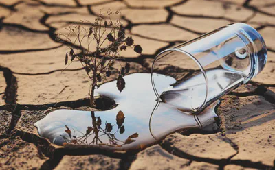 알긴산나트륨 섭취 시 물 부족으로 발생할 수 있는 문제점을 상징하는 이미지