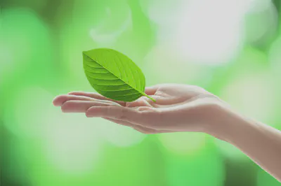 자연에서 얻은 건강한 재료로 몸을 돌보는 모습