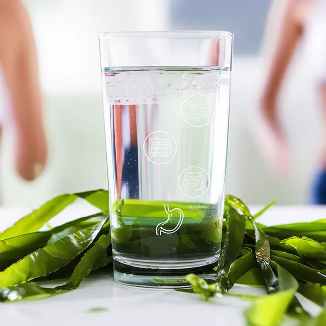 알긴산나트륨 효능, 전문가들이 말하지 않는 진짜 효과와 주의할 점