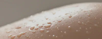 알긴산 성분의 강력한 수분 보호막 형성 원리