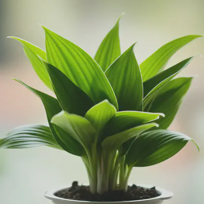 꾸준한 운동으로 건강한 삶의 활력을 유지하세요