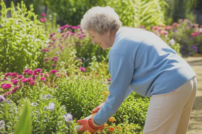60대운동법이 선사하는 활기찬 노년의 삶