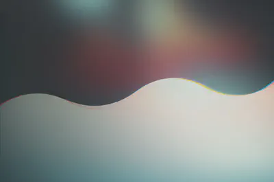 오해와 진실 사이의 명확한 구분