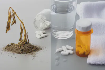 전해질 불균형의 주요 원인들