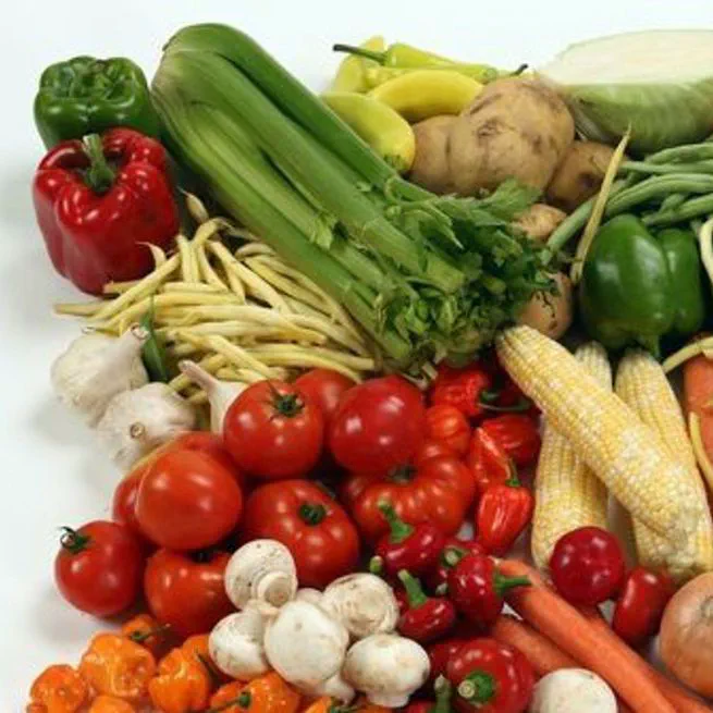 고지방 식단, 췌장암 전단계 병변 60% 증가… 저지방으로 바꾸면 예방 가능