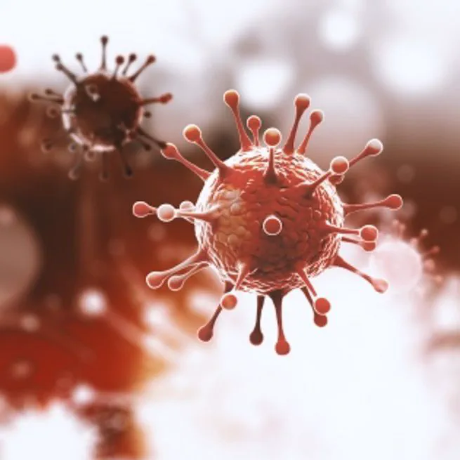 코로나19, 이달 하순 재유행 가능성 있어… 질병청, 고위험군 백신 접종 당부