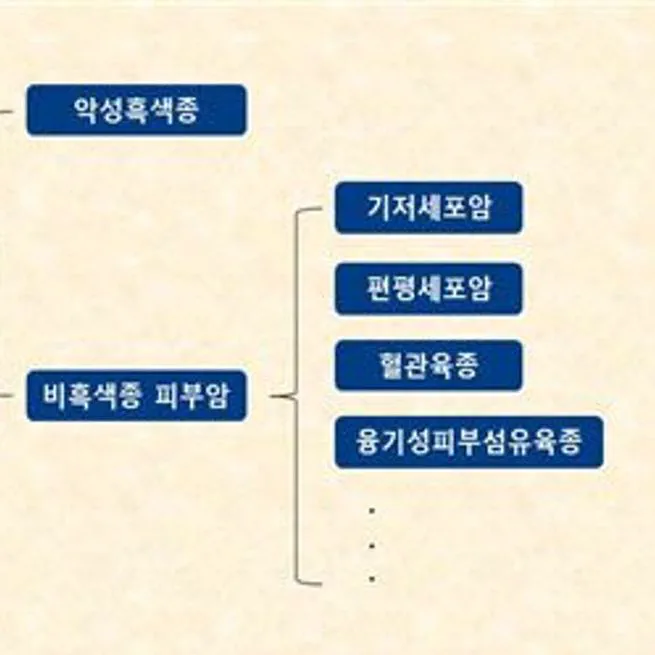흑색종 등 피부암은 자외선 차단이 핵심인 ‘피부암’